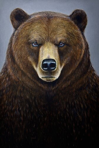 Grizzly bear von Elena Dmitrenko, Malerei kaufen auf Singulart