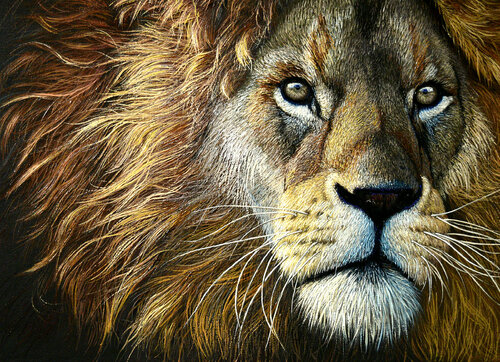 Lion King van Elena Dmitrenko, Schilderij te koop op Singulart