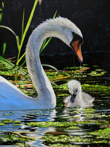 Swan love van Elena Dmitrenko, Schilderij te koop op Singulart