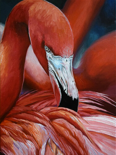 Flamingo di Elena Dmitrenko, Pittura in vendita su Singulart