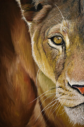 Lioness di Elena Dmitrenko, Pittura in vendita su Singulart