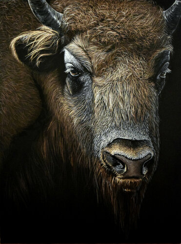 Buffalo van Elena Dmitrenko, Schilderij te koop op Singulart