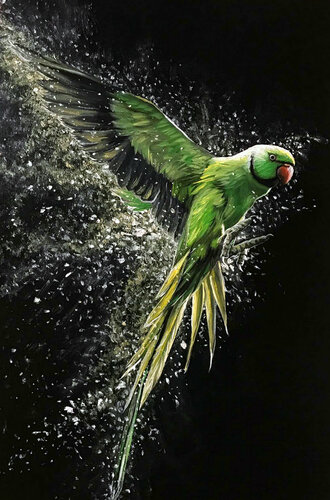 Parrot di Elena Dmitrenko, Pittura in vendita su Singulart