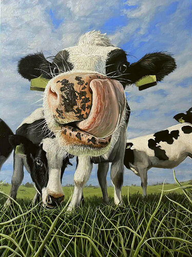 Hey?! Cow's di Elena Dmitrenko, Pittura in vendita su Singulart