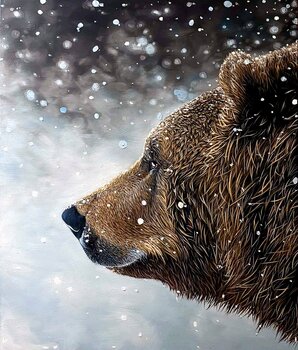 Brown bear Elena Dmitrenko