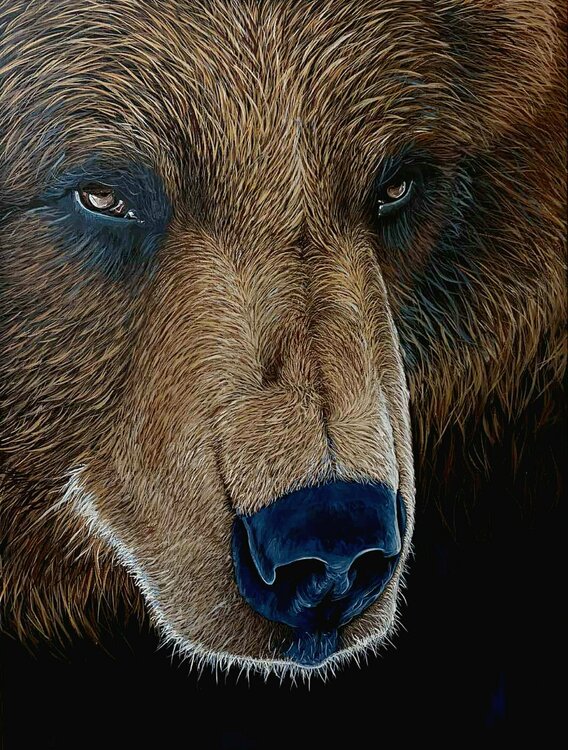 Brown bear Elena Dmitrenko
