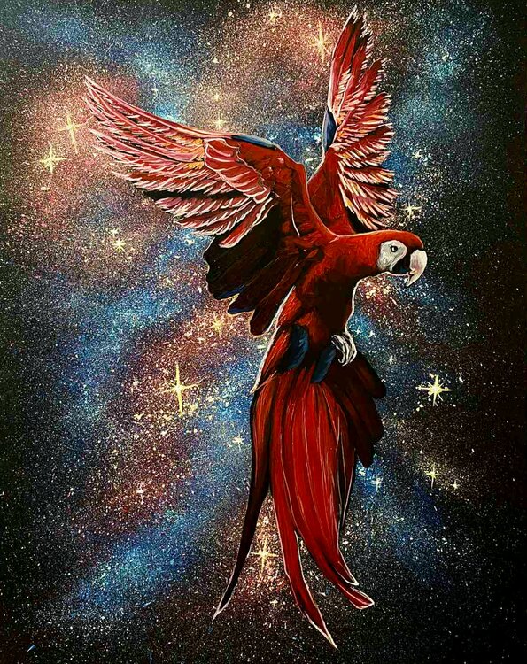Parrot Elena Dmitrenko