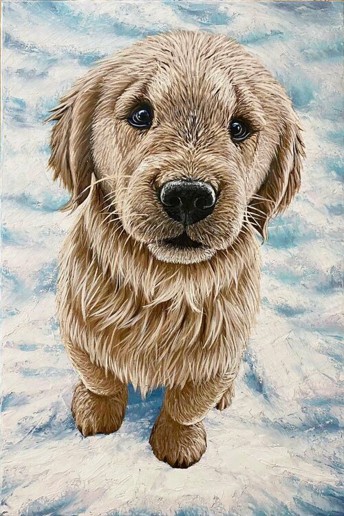 Golden Retriever Puppy Elena Dmitrenko