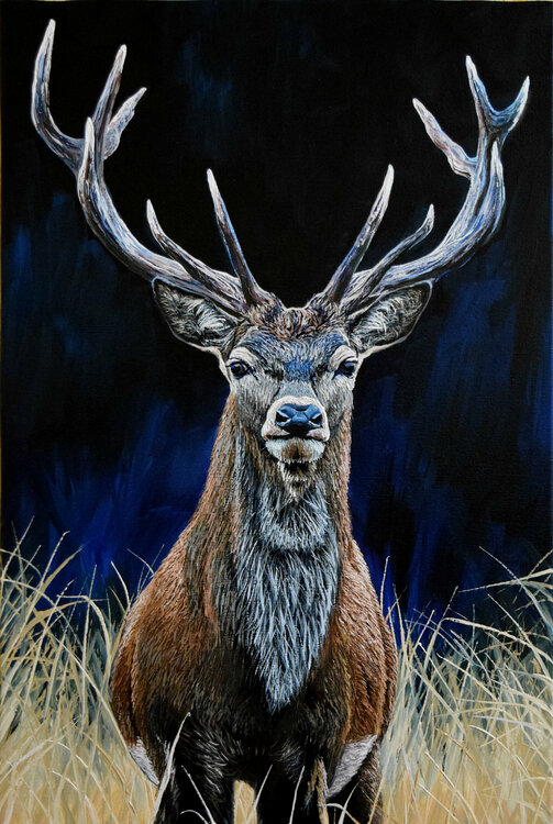 Deer Elena Dmitrenko