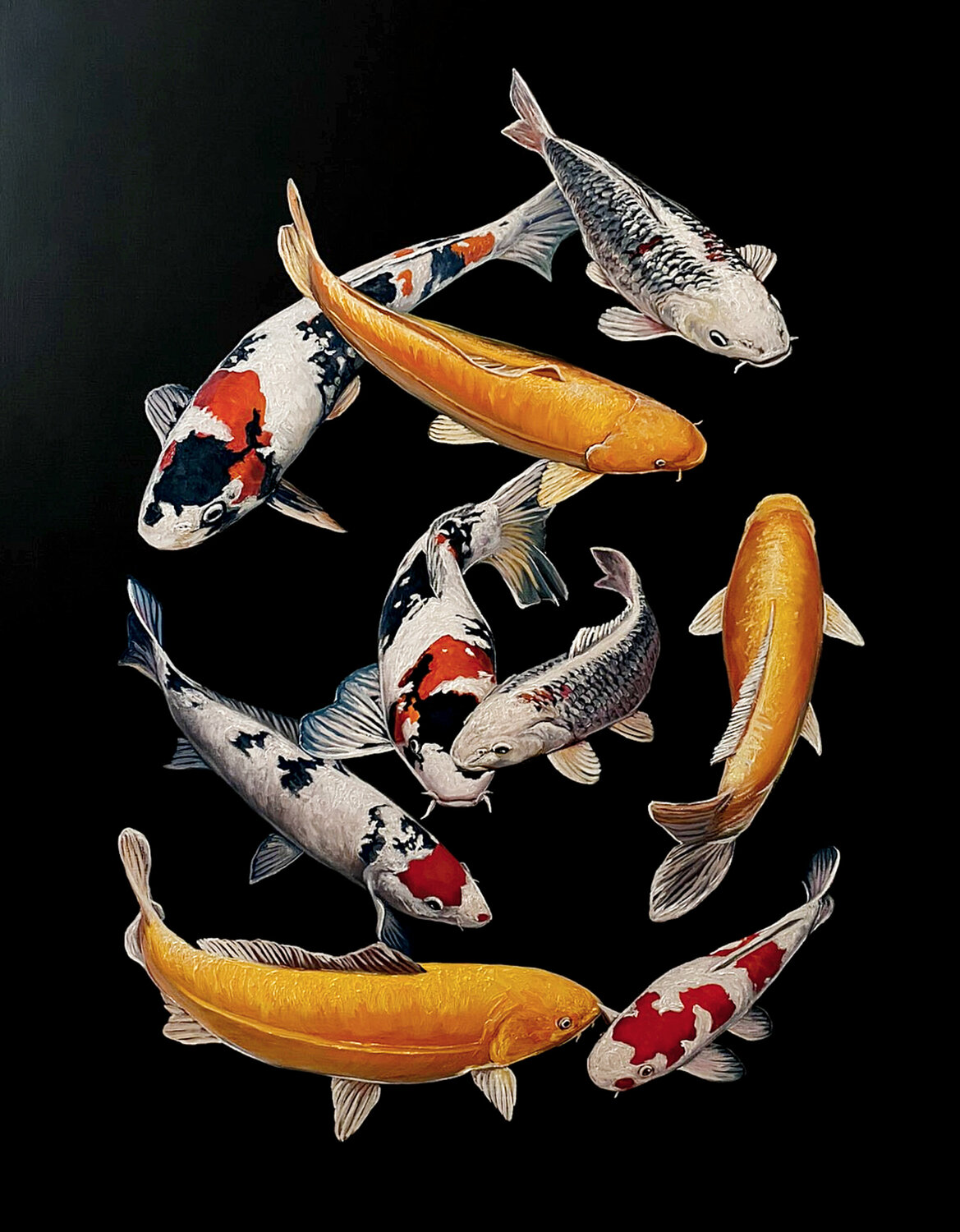 9 nine Koi Carp Fish Elena Dmitrenko