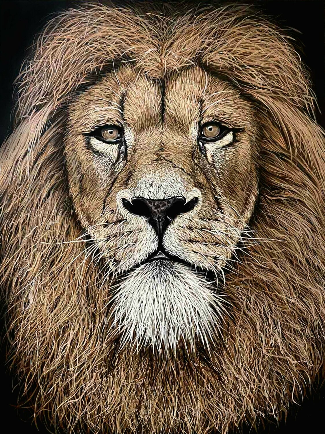 Lion Elena Dmitrenko