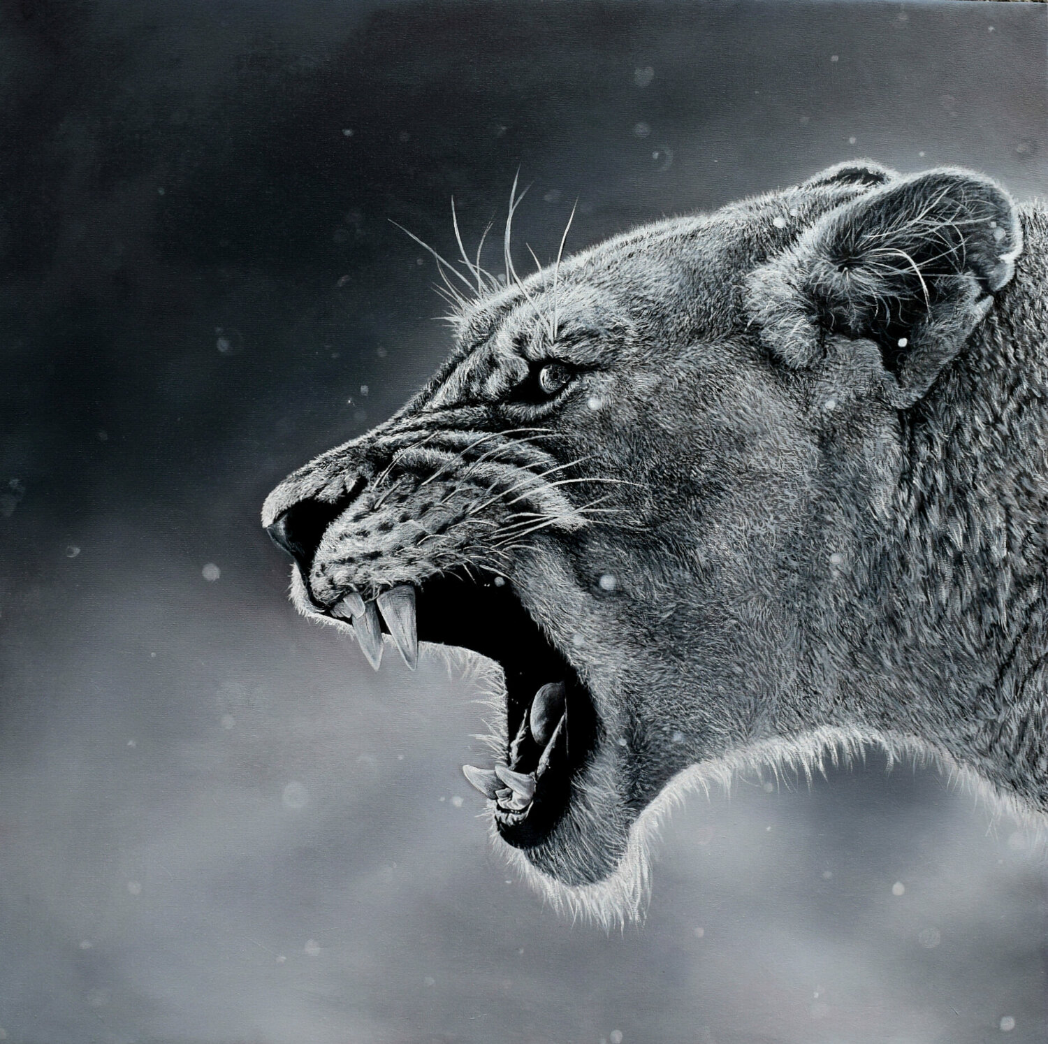 Lioness Elena Dmitrenko