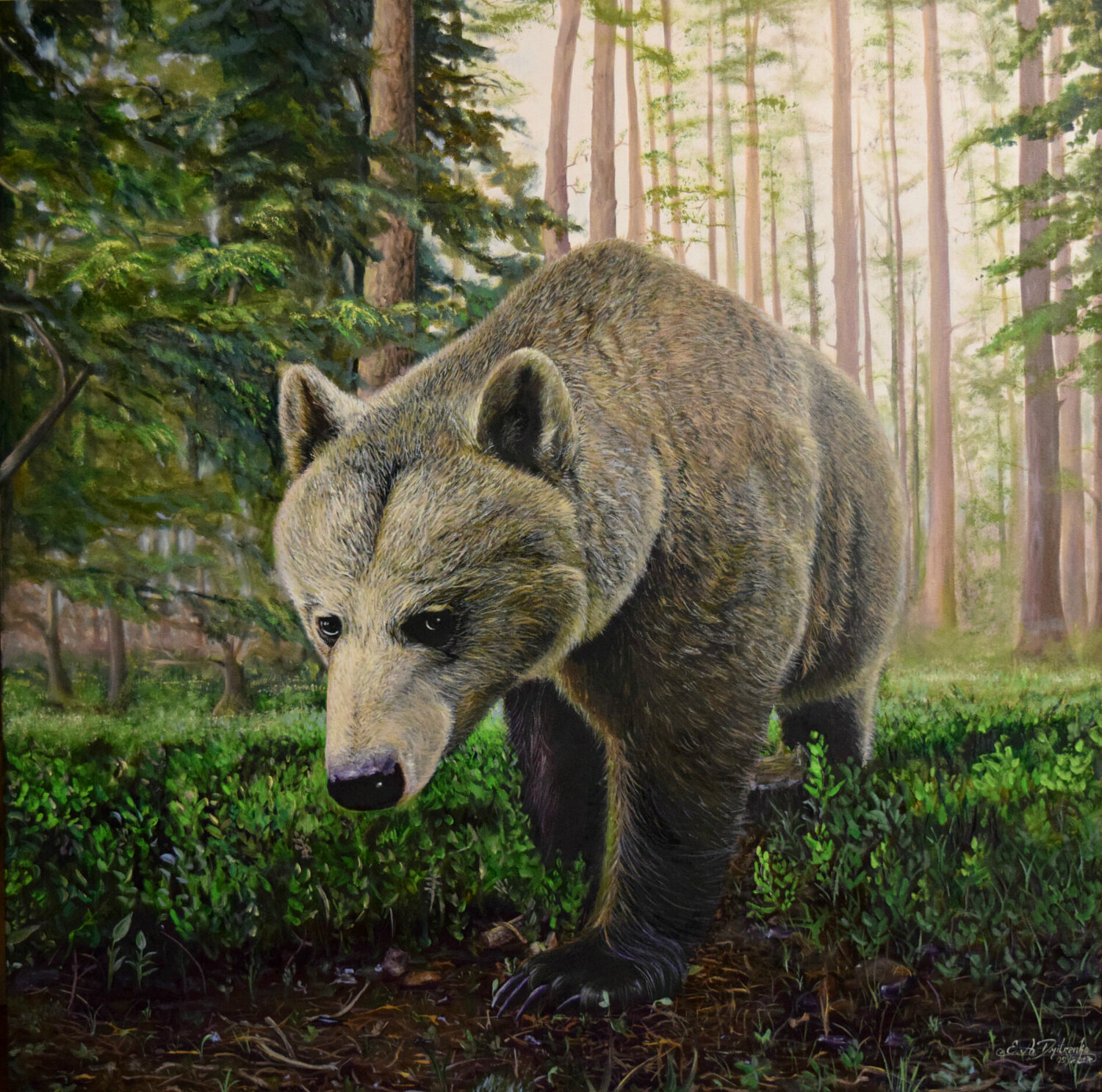 Bear Elena Dmitrenko