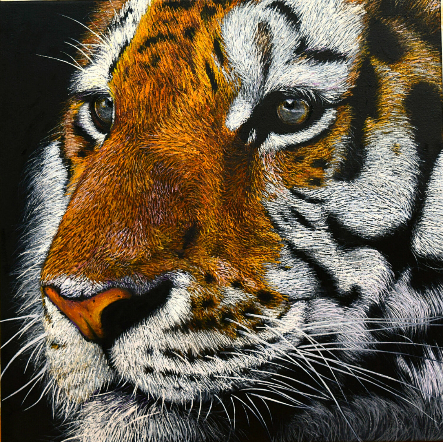 Tiger Elena Dmitrenko