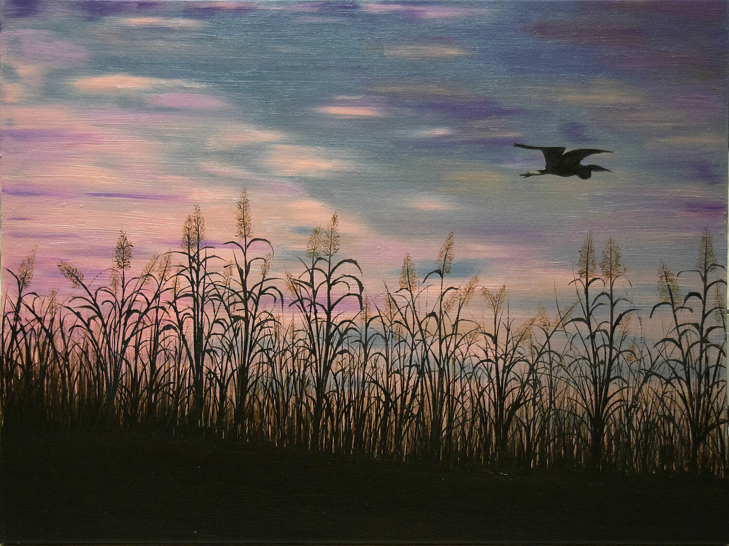 Serenity Elena Dmitrenko