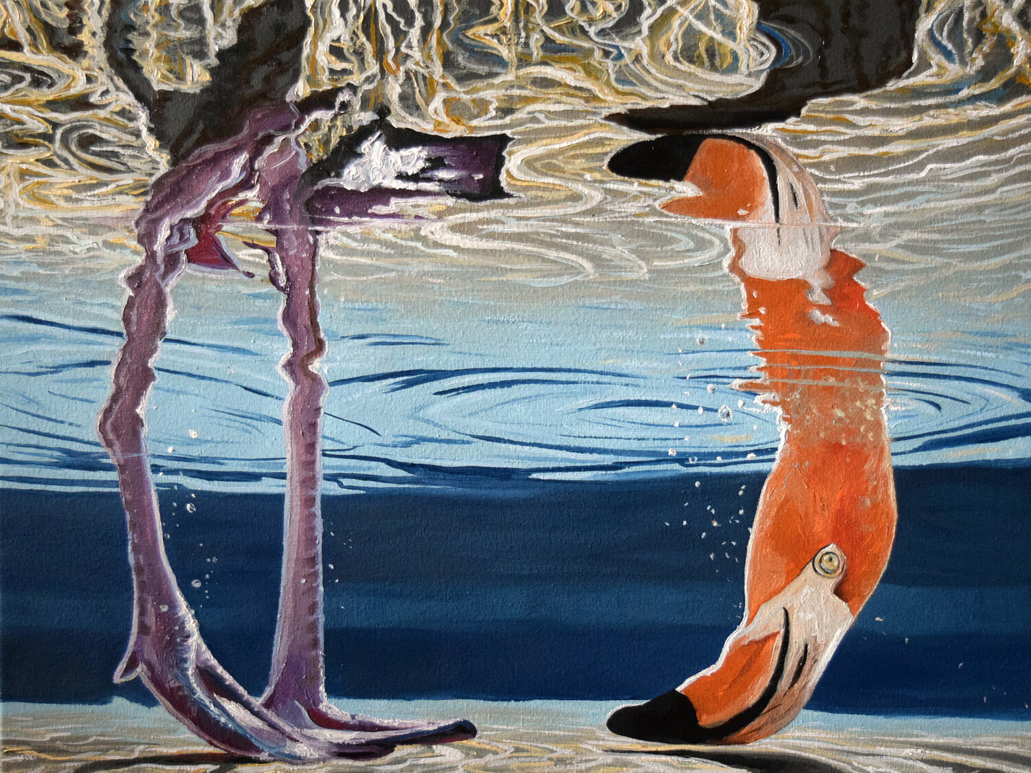 Flamingo under water Elena Dmitrenko