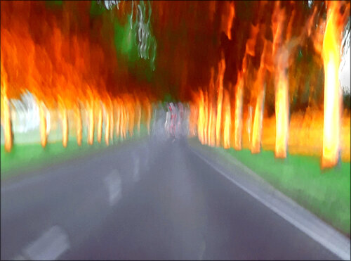 homeward (jetzt auf Leinwand) by Wolfgang Lorenz, 사진 for Sale on Singulart