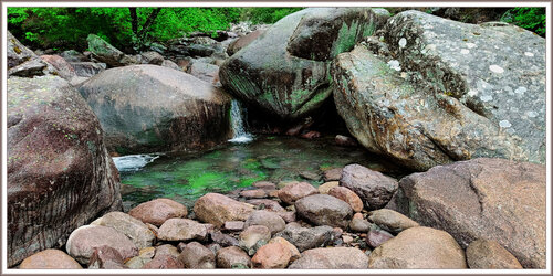Natur pur di Wolfgang Lorenz, Fotografia in vendita su Singulart