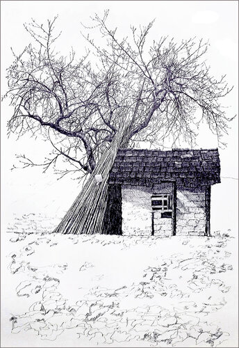 einsame Feldhütte kuschelt mit kahlem Obstbaum di Wolfgang Lorenz, Opera su carta in vendita su Singulart