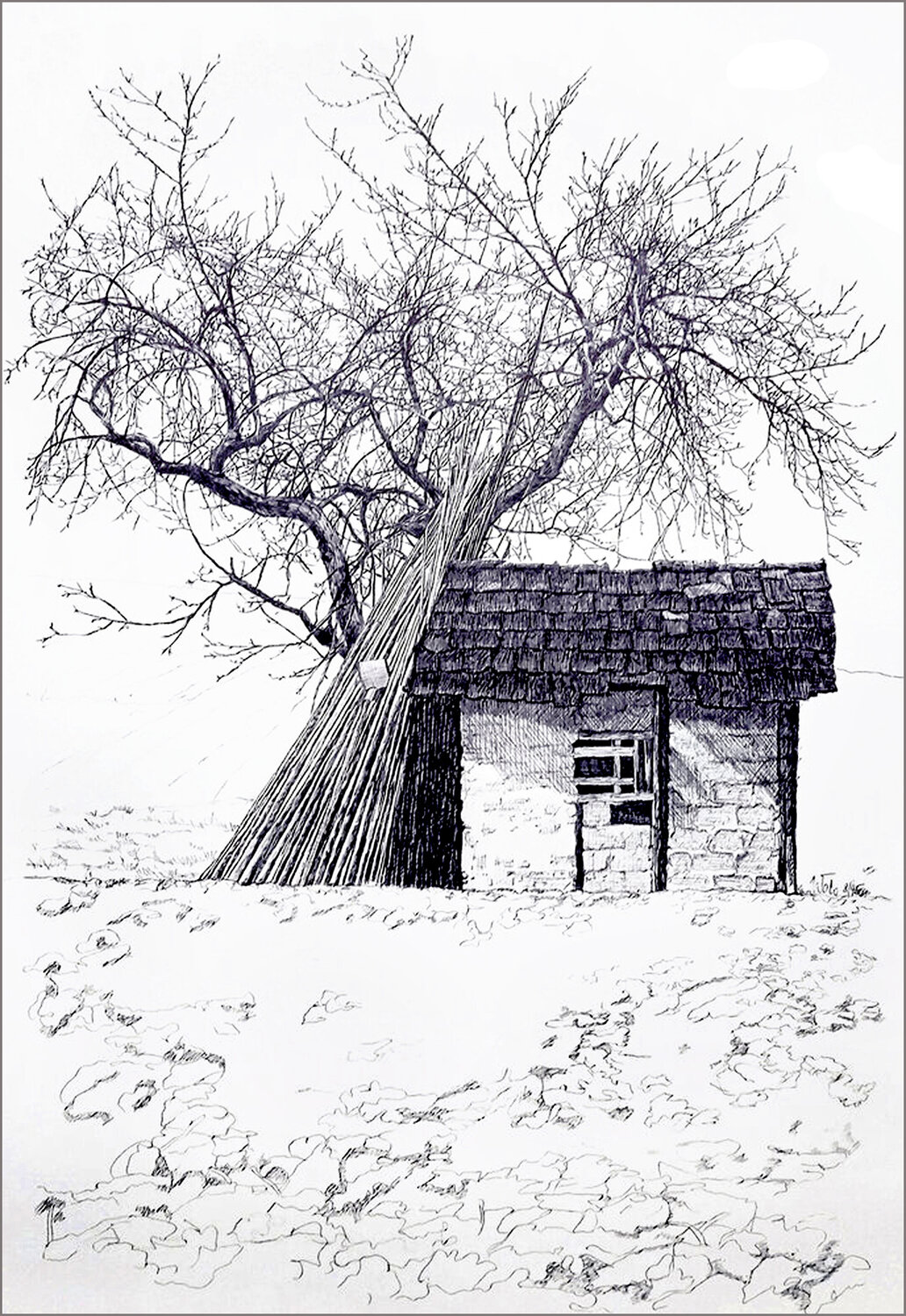 einsame Feldhütte kuschelt mit kahlem Obstbaum Wolfgang Lorenz