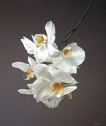 PHALENOPSIS van Francesco Capello, Schilderij te koop op Singulart