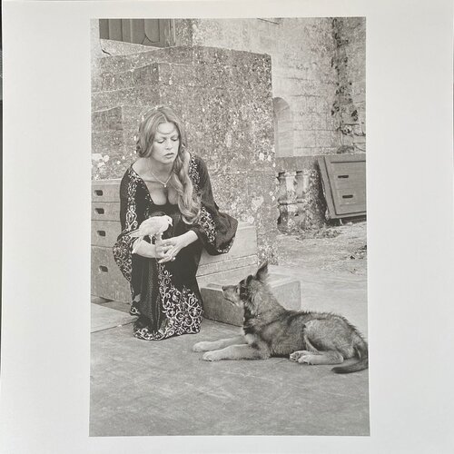 Brigitte Bardot von Léonard de Raemy, Fotografie kaufen auf Singulart