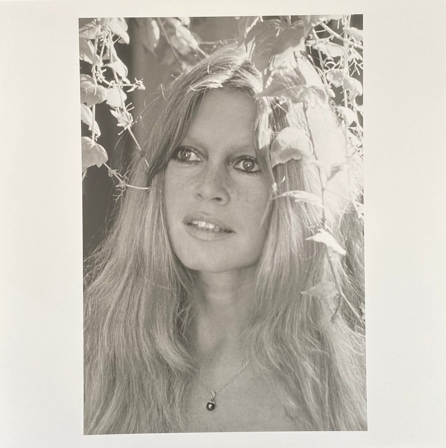 Brigitte Bardot Léonard de Raemy Fotografia in vendita