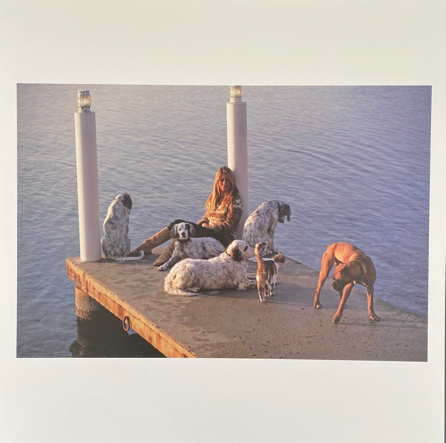 Brigitte Bardot Léonard de Raemy Fotografie zu verkaufen