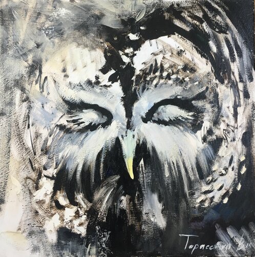 Owl Valeriya Tarasenko