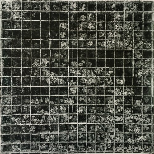 Through the grid Valeriya Tarasenko