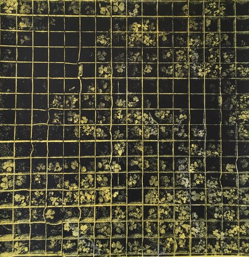 Through the grid Valeriya Tarasenko