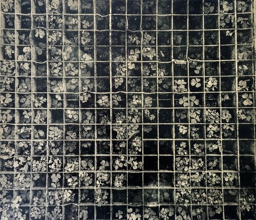 Through the grid Valeriya Tarasenko