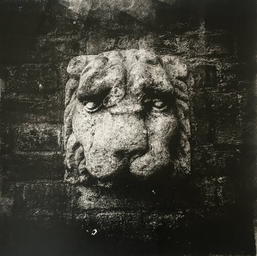 MILAN Lion van Valeriya Tarasenko, Werk op papier te koop op Singulart
