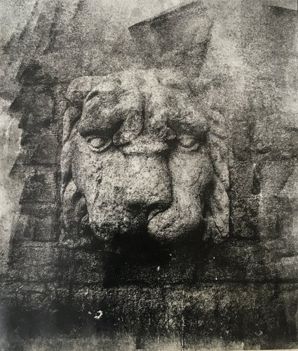 MILAN Lion van Valeriya Tarasenko, Werk op papier te koop op Singulart