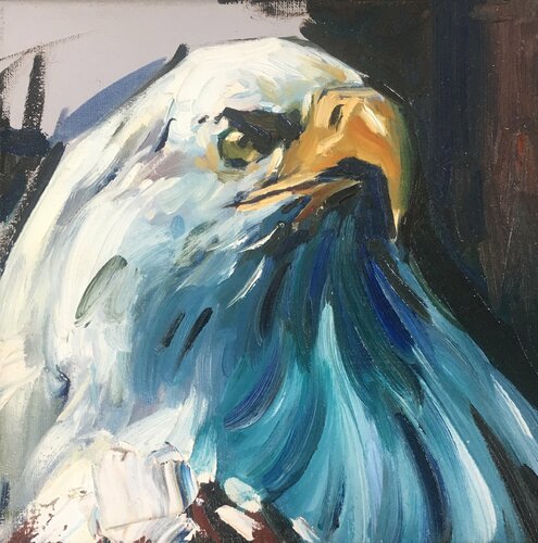 Eagle Valeriya Tarasenko