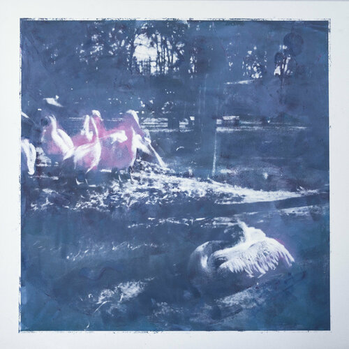 In  Kiev Zoo by Valeriya Tarasenko, Digital for Sale on Singulart