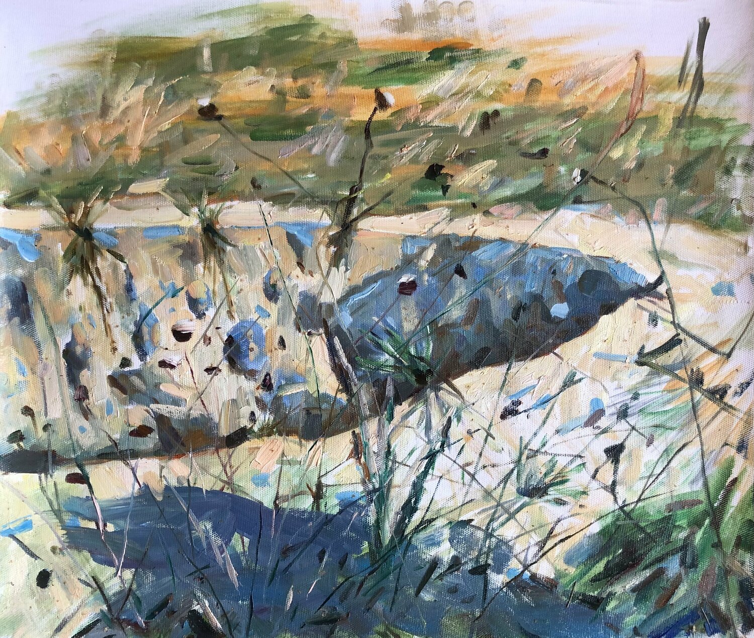 Home for lizards Valeriya Tarasenko