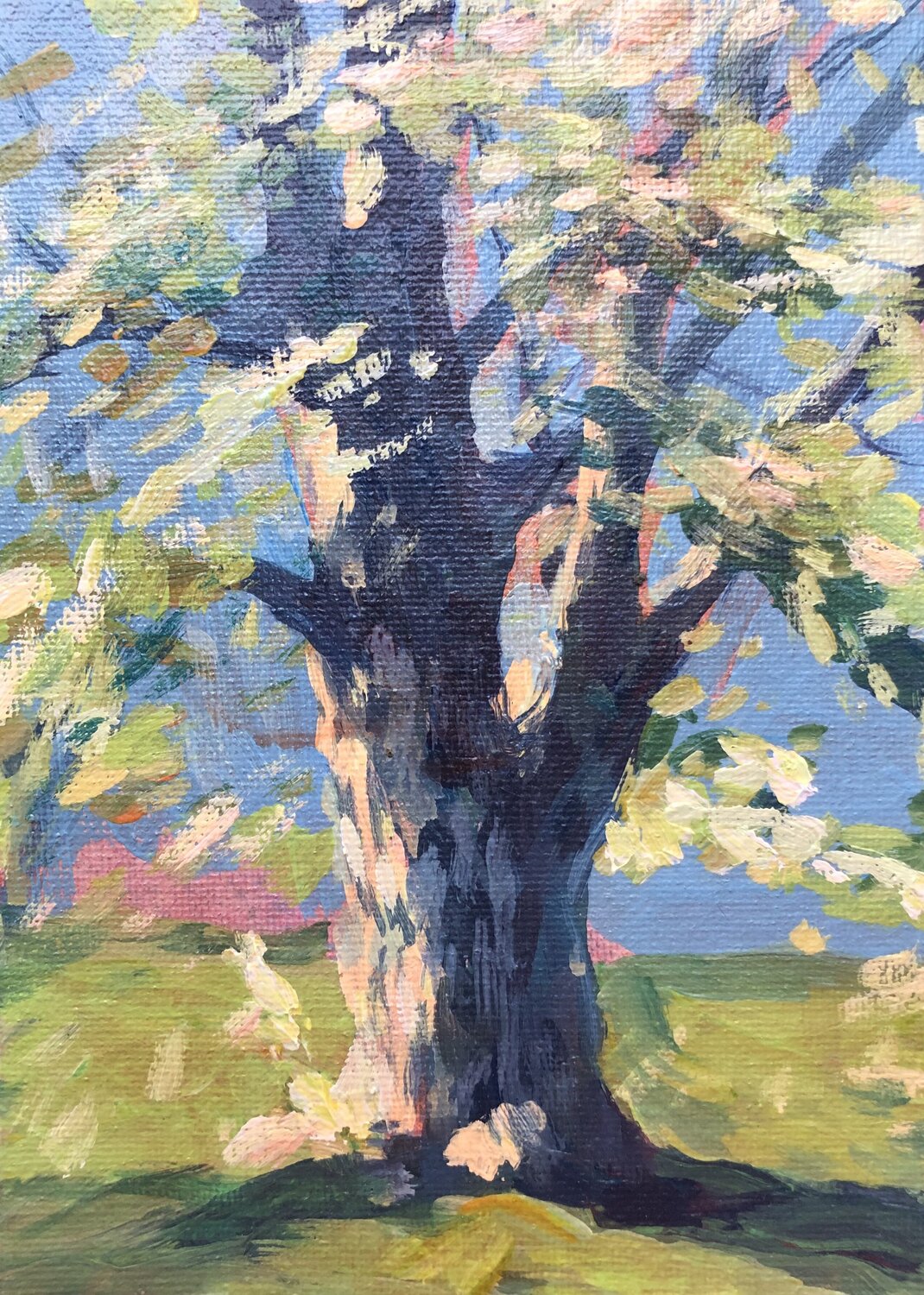 Summer tree. Valeriya Tarasenko Original painting for sale
