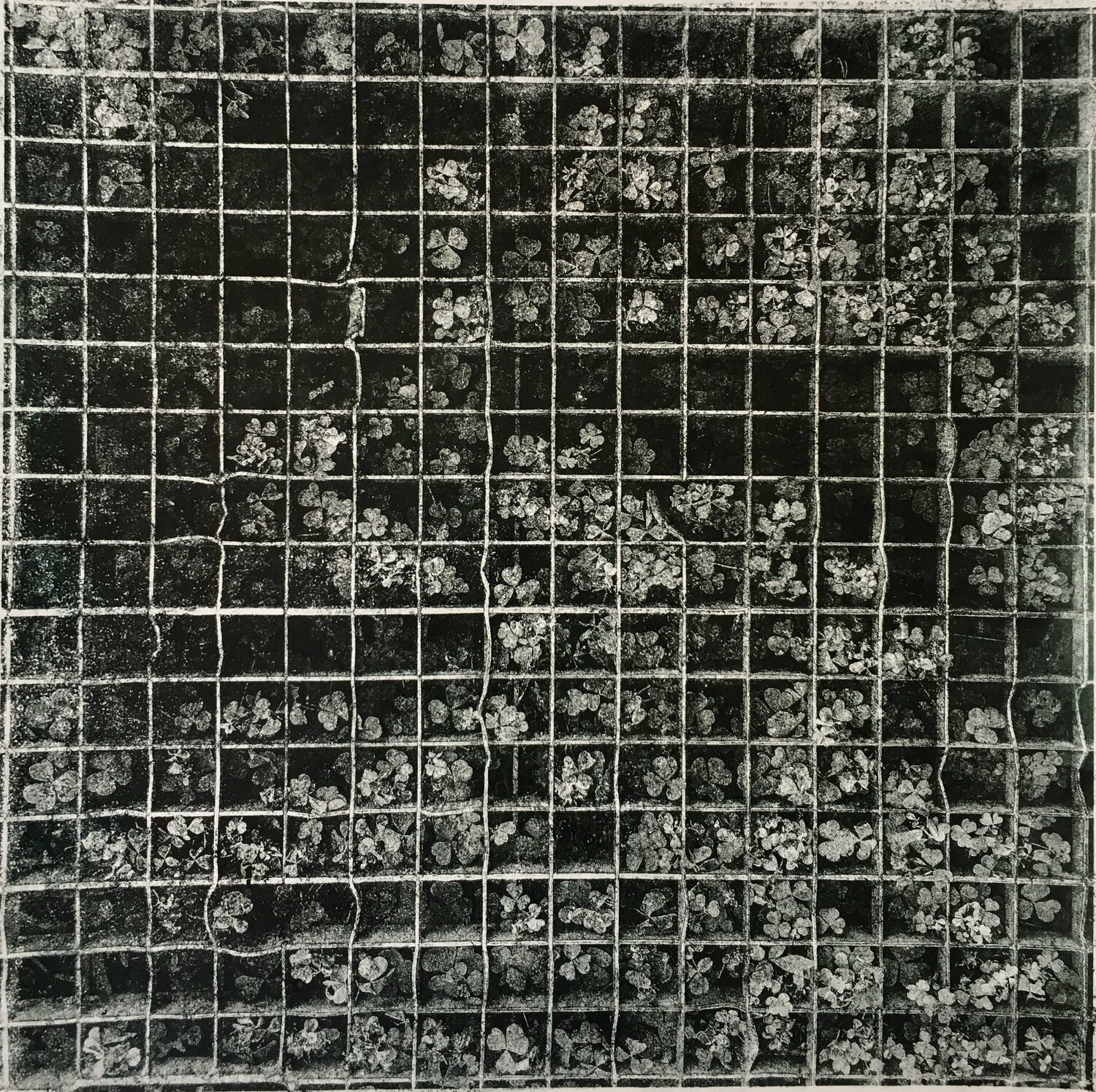 Through the grid Valeriya Tarasenko