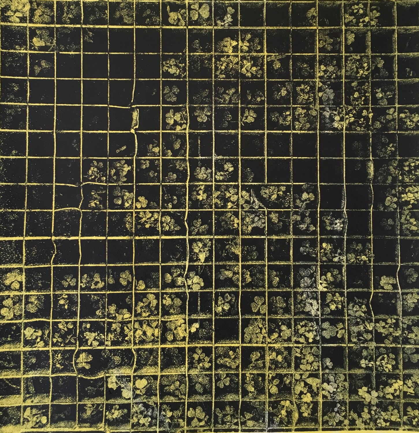 Through the grid Valeriya Tarasenko