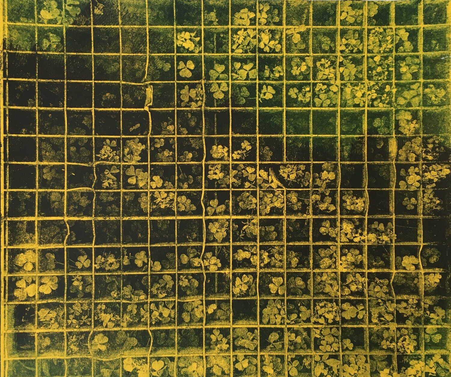 Through the grid Valeriya Tarasenko