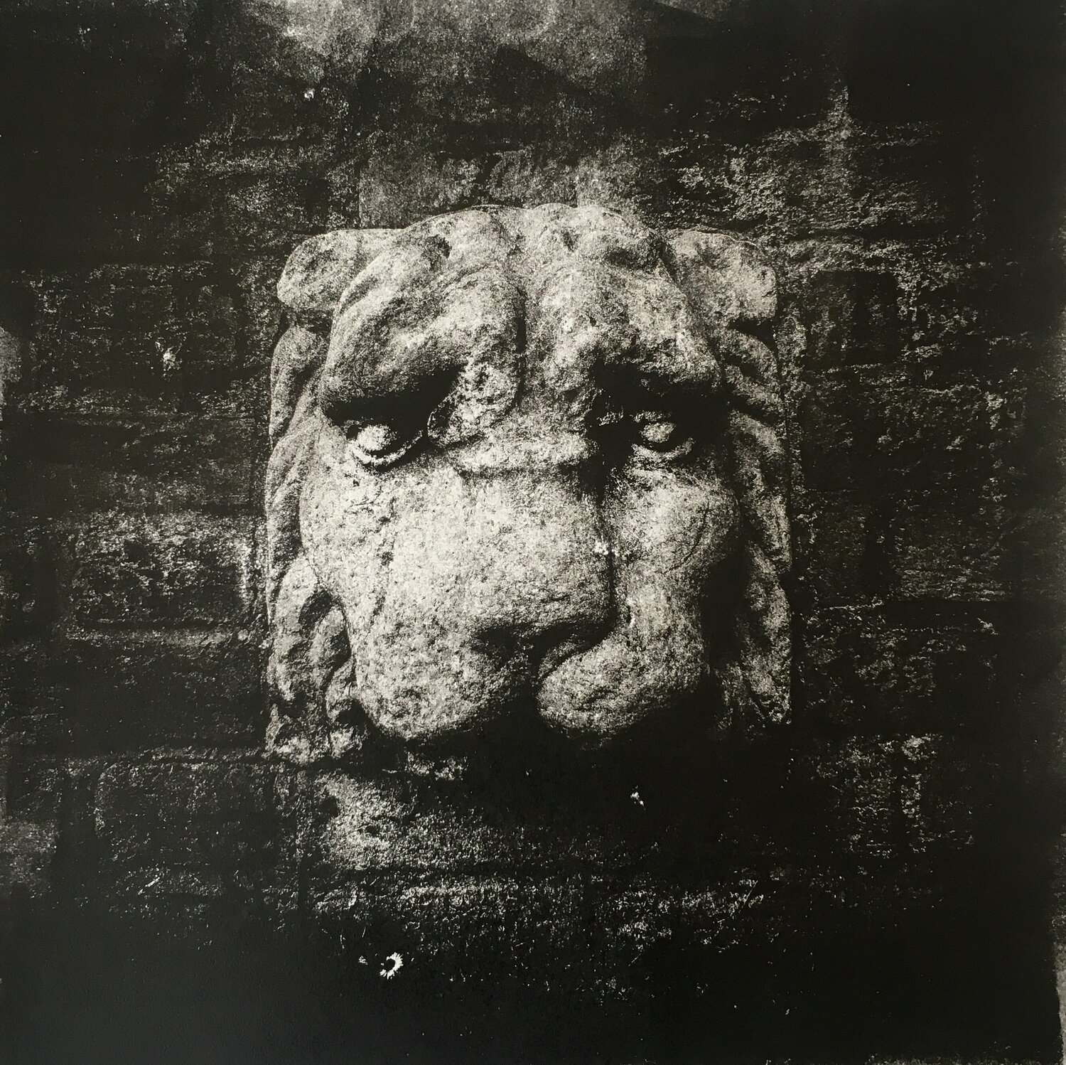 MILAN Lion Valeriya Tarasenko
