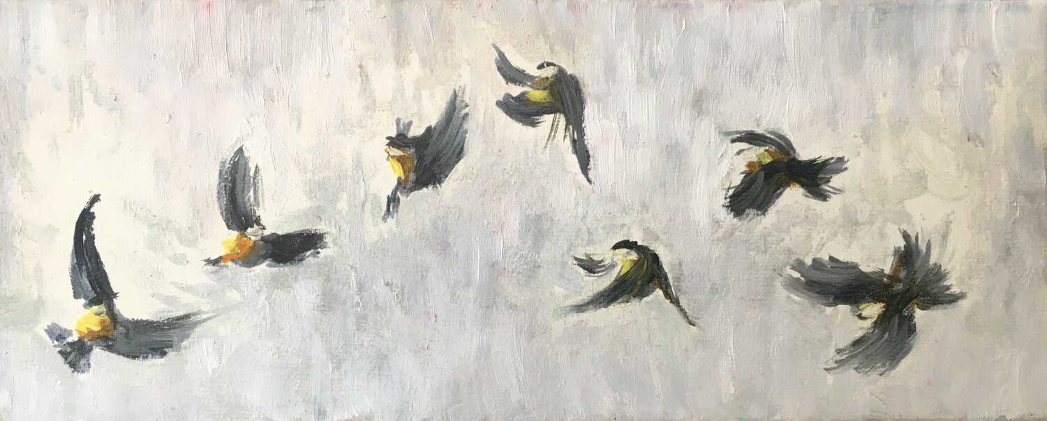 Birds exercises Valeriya Tarasenko