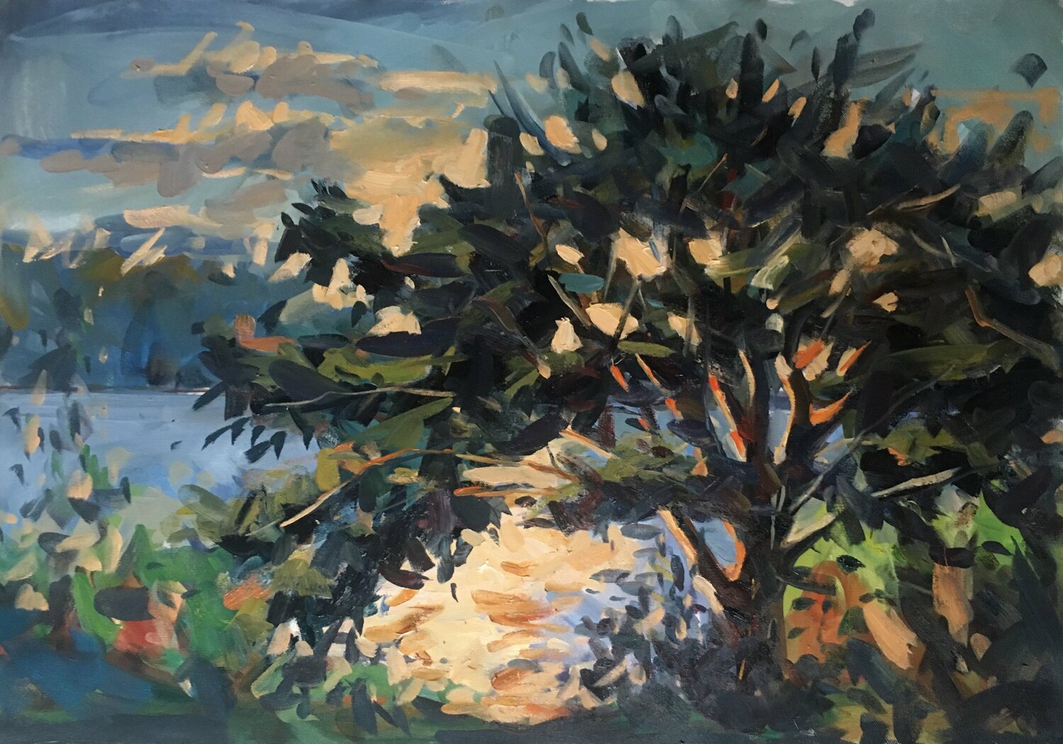 Sunset Valeriya Tarasenko