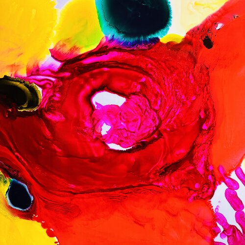 The nest ( le nid) di Daniel PAUGAM, Pittura in vendita su Singulart