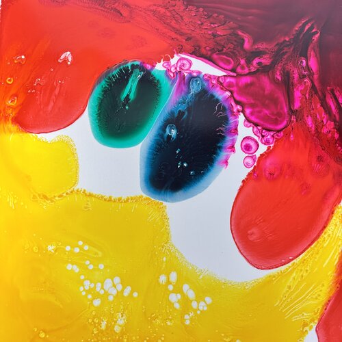 Méduses médusées van Daniel PAUGAM, Schilderij te koop op Singulart