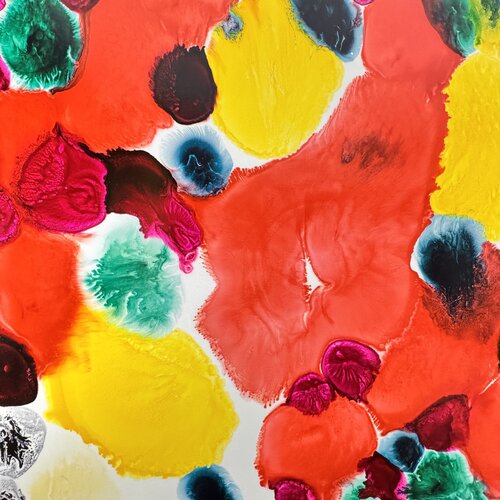 Ce matin par la fenêtre van Daniel PAUGAM, Schilderij te koop op Singulart