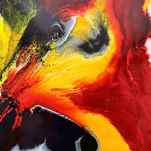 Le perroquet sauvage Daniel PAUGAM