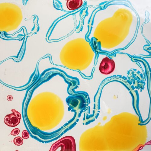 La croissance des cellules au soleil von Daniel PAUGAM, Malerei kaufen auf Singulart