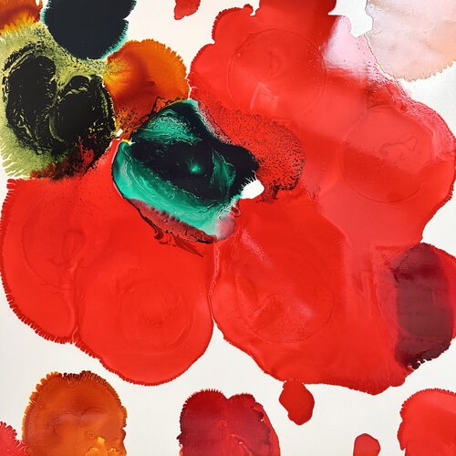 Le coquelicot rouge et vert Daniel PAUGAM